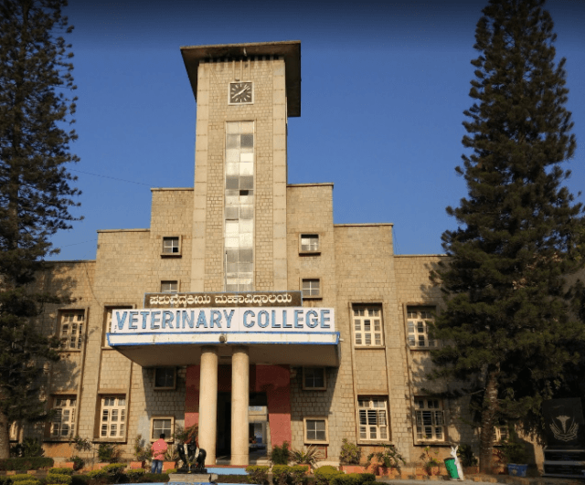 Veterinary College, Hebbal-gallery-image-4