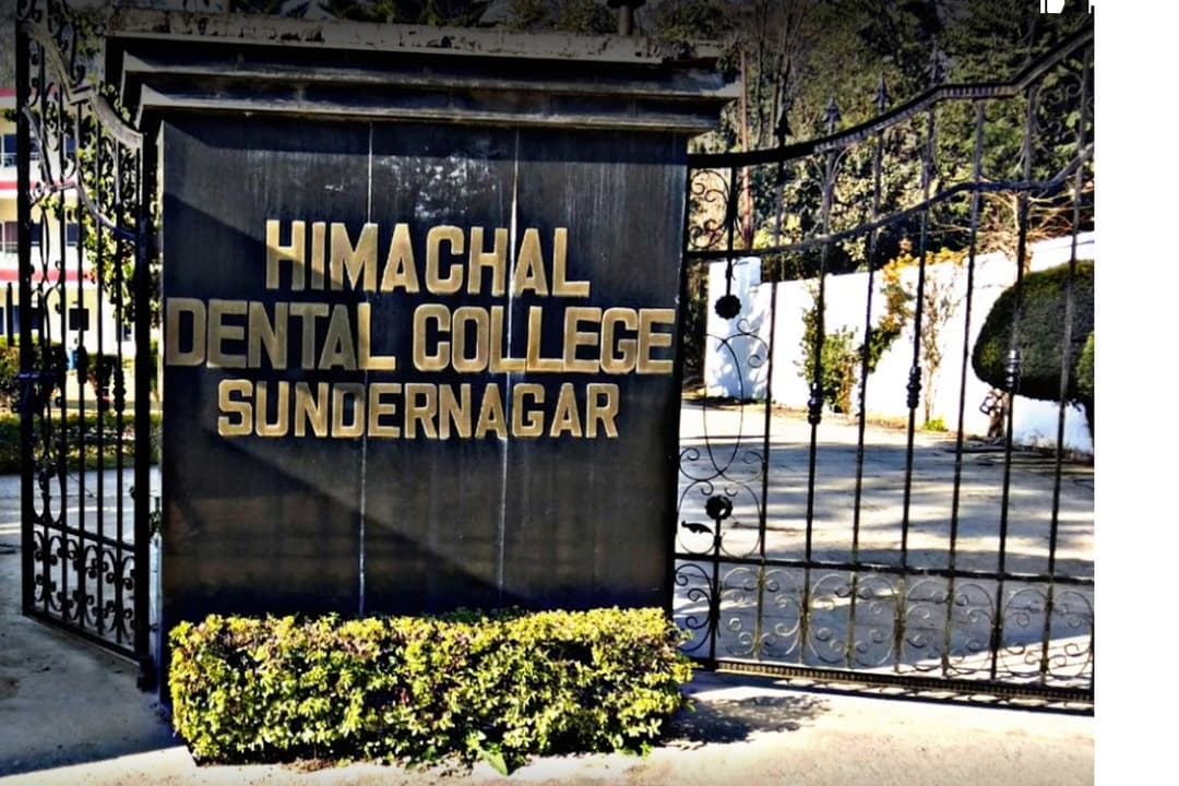 HDC Mandi-gallery-image-3