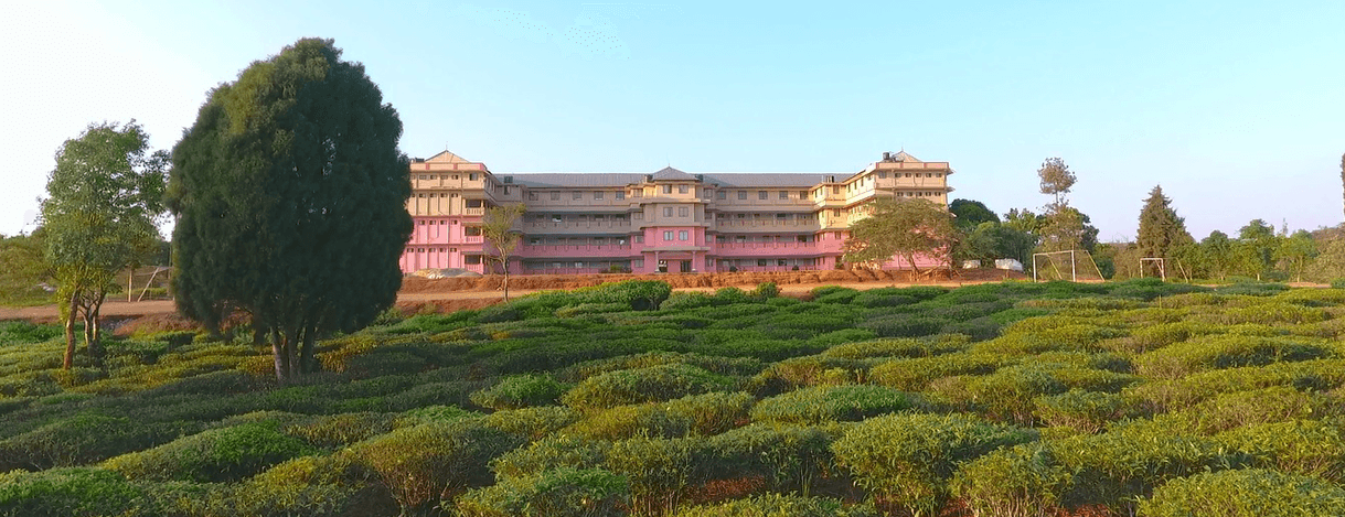 Holy Cross College-image