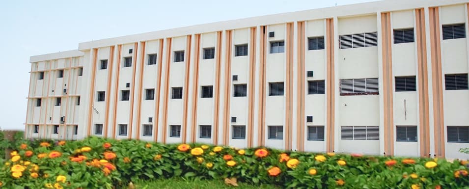 Springdale College of Management Studies-image