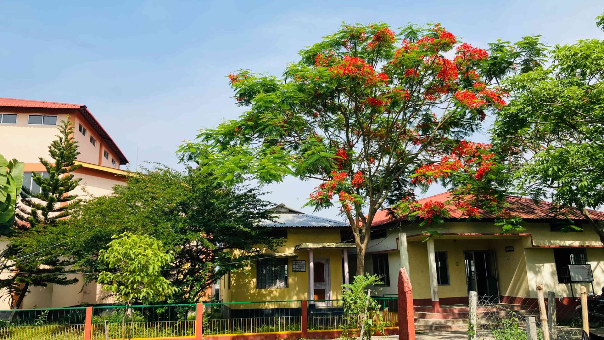 Baosi Banikanta Kakati College-image