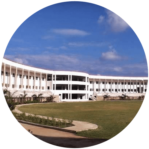 MESGOI-gallery-image-4