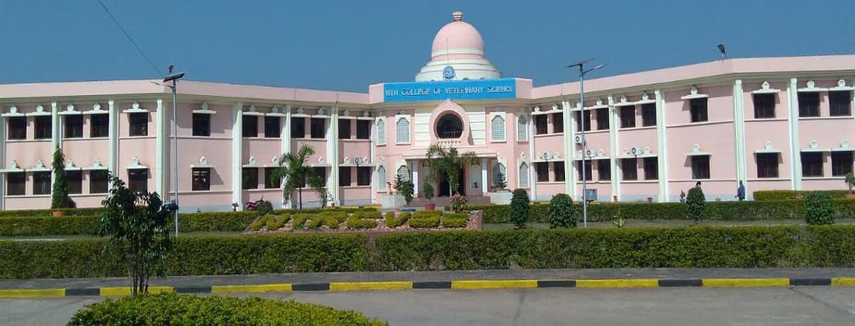 CVS Tirupati-gallery-image-1