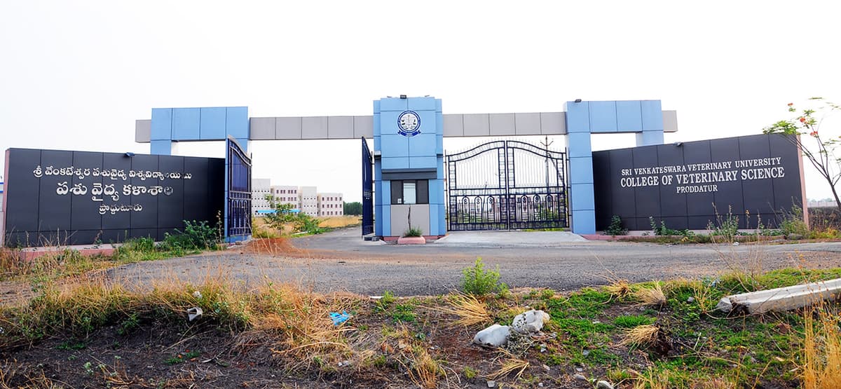 CVSc Proddatur-gallery-image-2