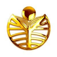 Rao's Degree College-image