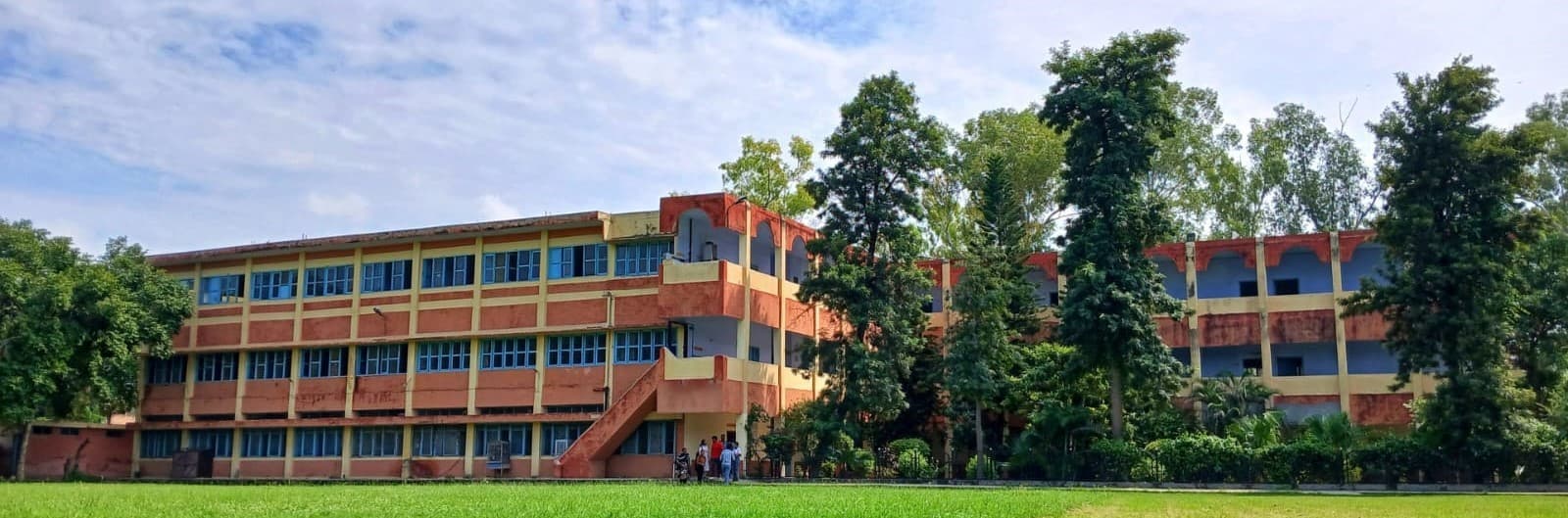 KRM DAV College-image