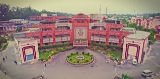 DIRDS-gallery-image-0