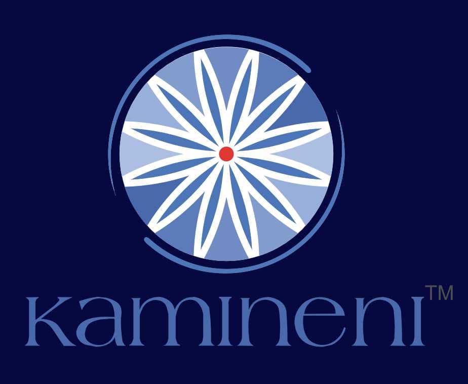 Kamineni Institute of Dental Sciences-image