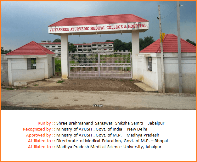 Vijyashree Educational Institute-image