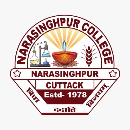 Narasinghpur College-image