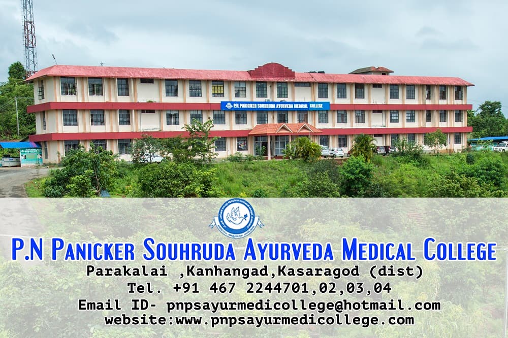 PNPSAMC-gallery-image-2