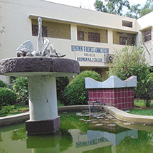 Raj College-image
