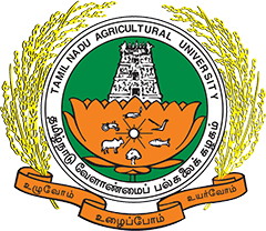 Community Science College and Research Institute-image