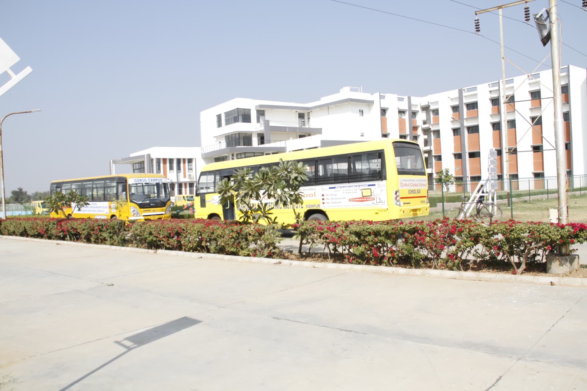 Gokul Law College Patan-image