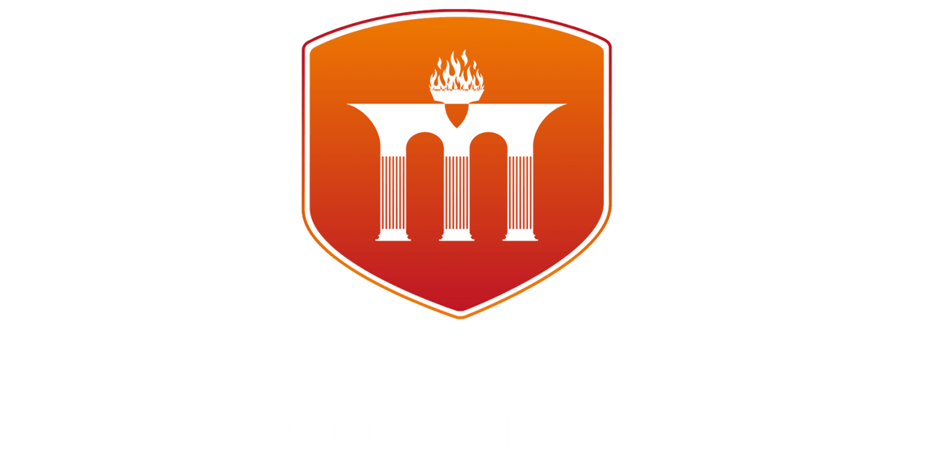 Mandsaur University-image