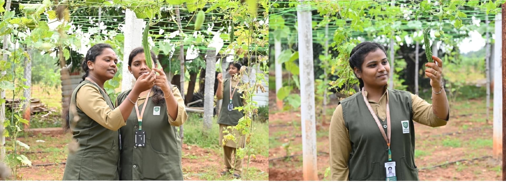 Kumaraguru Institute of Agriculture-image