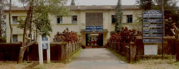 GFGC Koppa-gallery-image-4