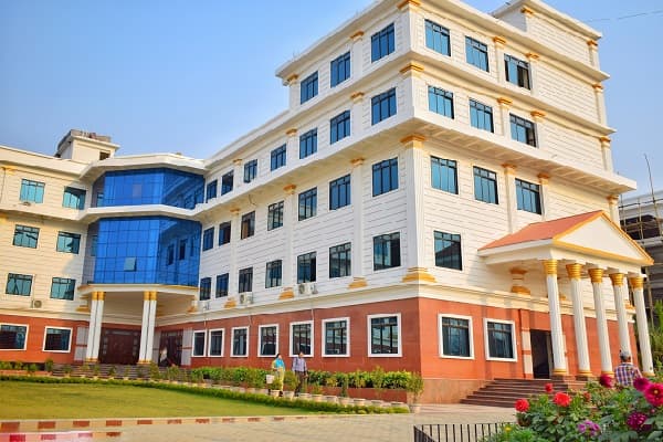NEF College-image