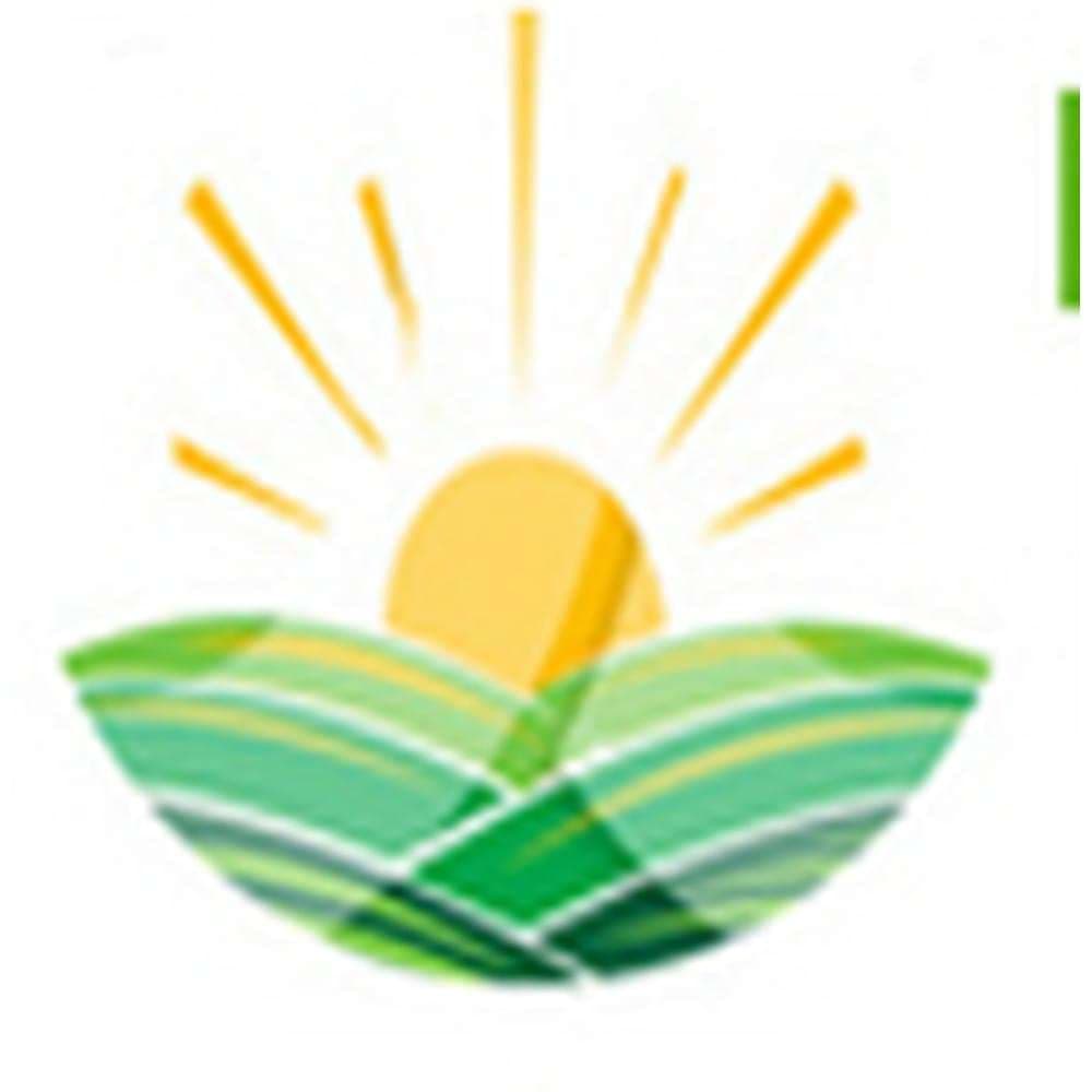 Bagchi Jamsherpur Namita Sankar B.Ed. College-gallery-image-2