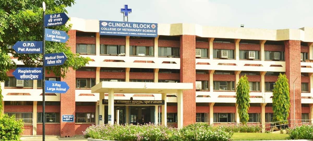 GADVASU-gallery-image-2