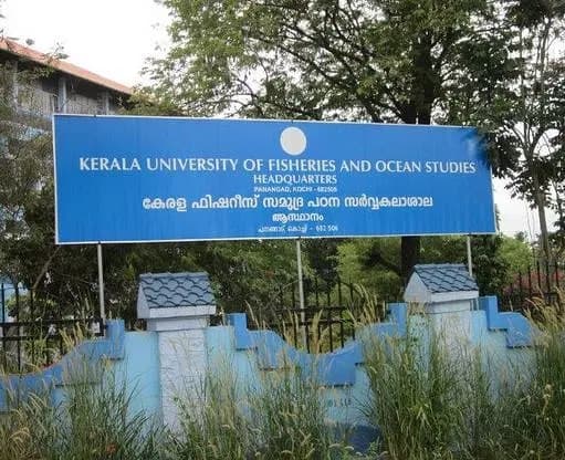 KUFOS-gallery-image-2