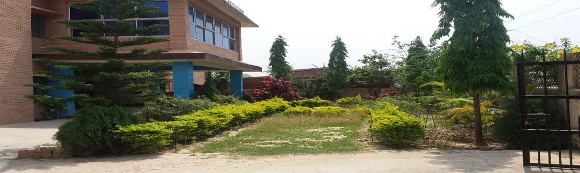 IBM Darbhanga-gallery-image-1