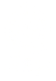 Dhanamanjuri College of Science-image
