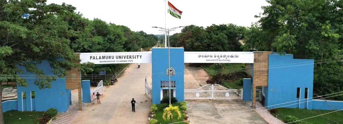 P.U.-gallery-image-1