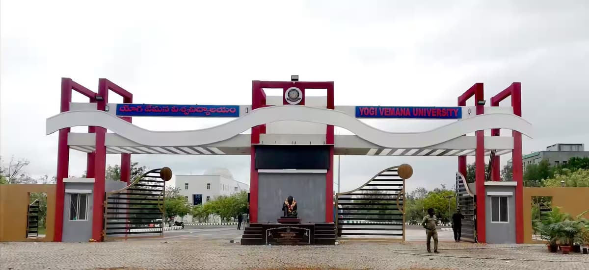 Y.V.U.-gallery-image-2