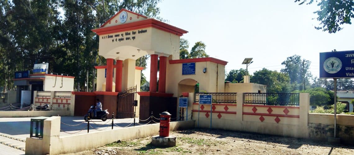 DUVASU-gallery-image-4