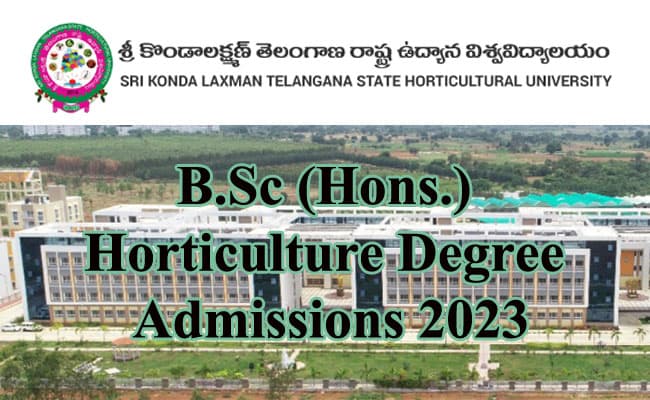 Sri Konda Laxman Telangana State Horticultural University-gallery-image-2
