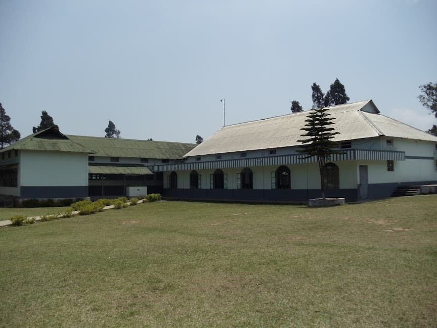 NEAU-gallery-image-1