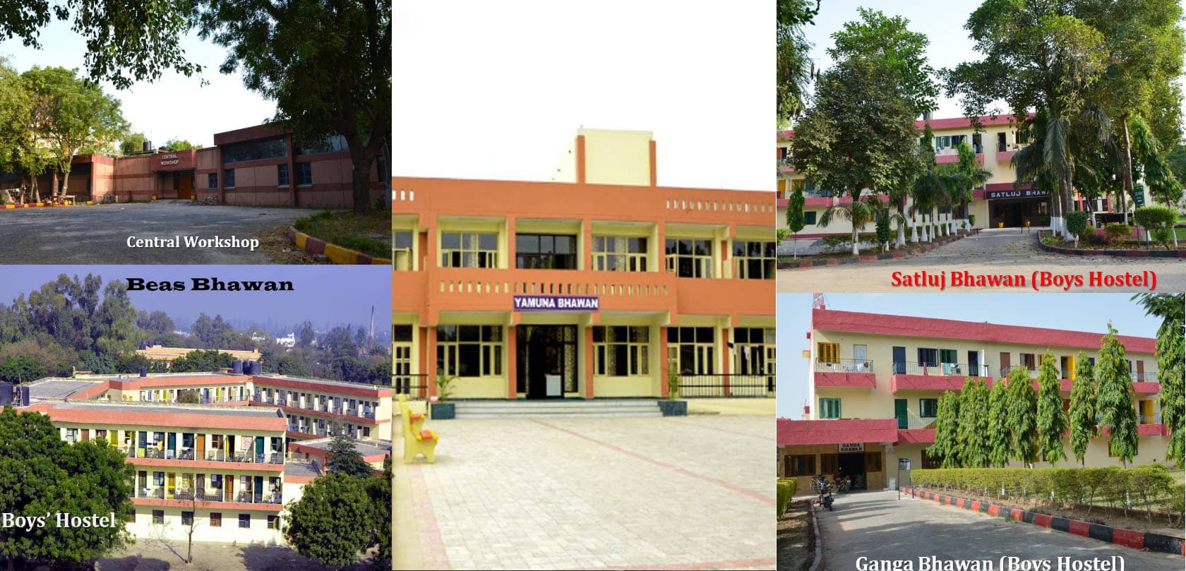 Shaheed Bhagat Singh State University-image