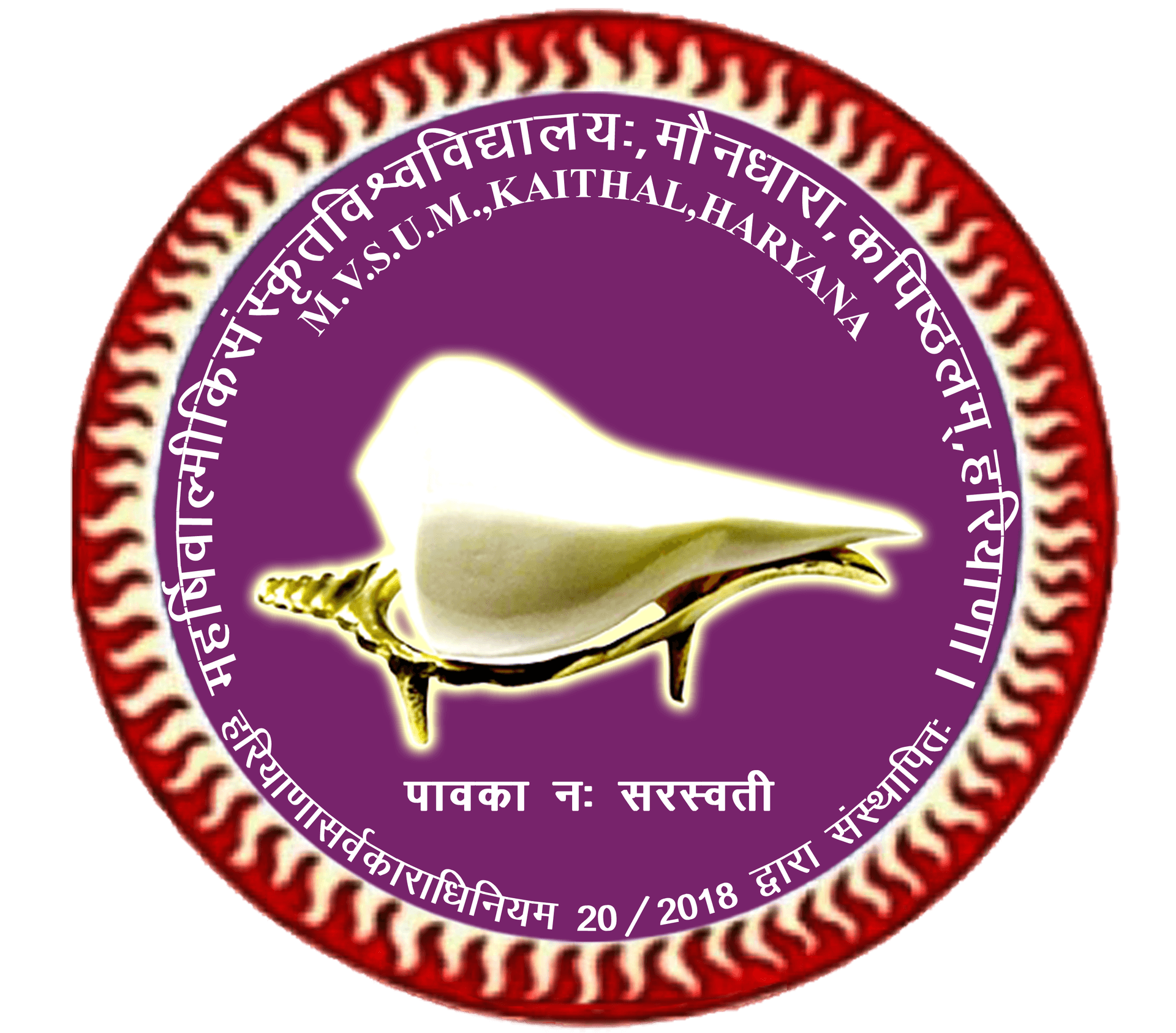 MVSU Kaithal-image