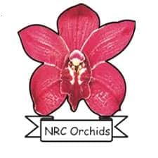 National Research Centre for Orchids-image