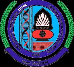 IP Sports College of Education Research and Technology-image