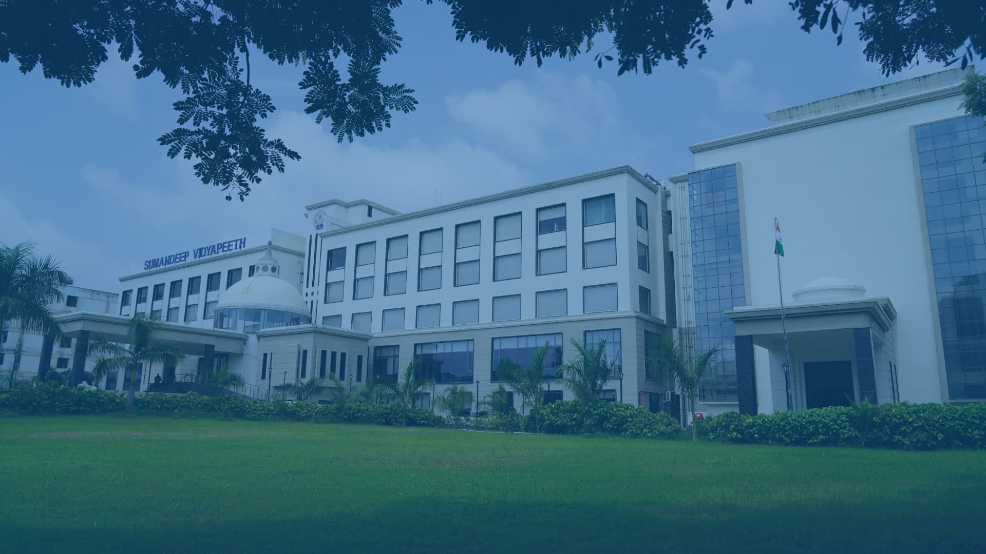 Department of Para-Medical Sciences, Sumandeep Vidyapeeth-image