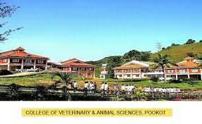 CDST Idukki-gallery-image-1