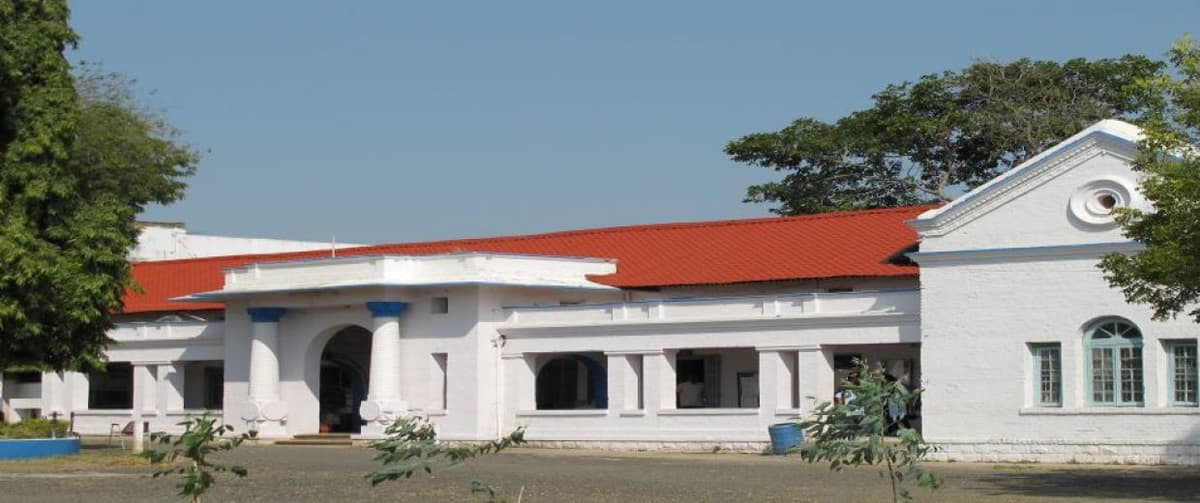 BCSW-gallery-image-1