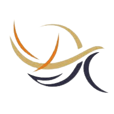 Datta Meghe Institute of Management Studies-image