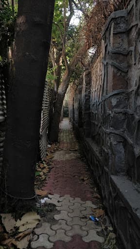 ZHDC-gallery-image-7