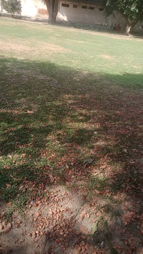 Dr. Ganesh Dass Dav College of Education-gallery-image-5