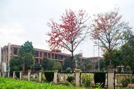 DAVIET Jalandhar-gallery-image-3