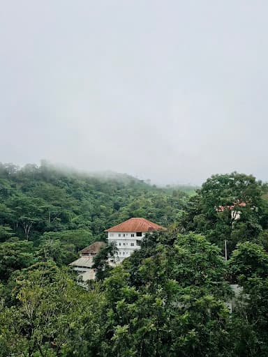 DCSMAT-gallery-image-7