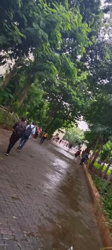 SALIP-gallery-image-6