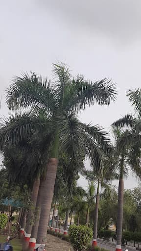 BBALC Lucknow-gallery-image-6