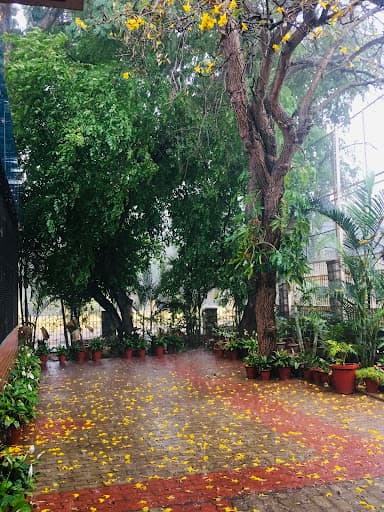 St. Josephs College of Education-gallery-image-6