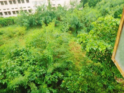 ALIET-gallery-image-7