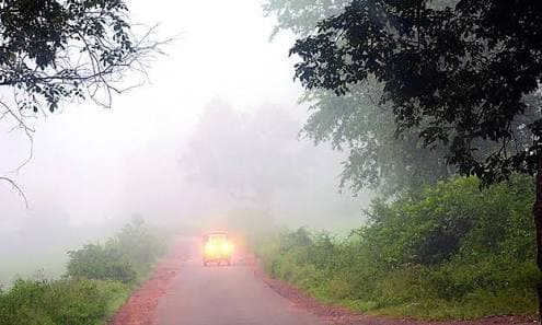 MESGOI-gallery-image-6