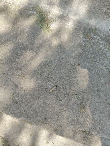 Sadhu Vaswani College-gallery-image-7